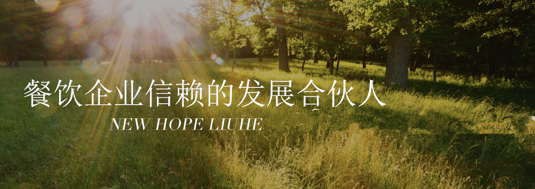 创业合伙人