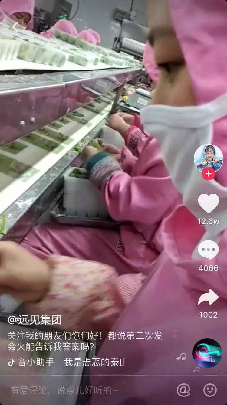 抖音小视频