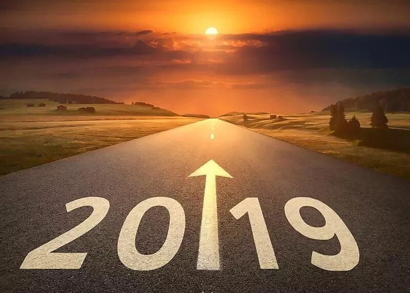 奔跑2019